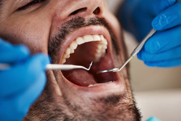 Best Emergency Orthodontic Repairs in Palo Cedro, CA